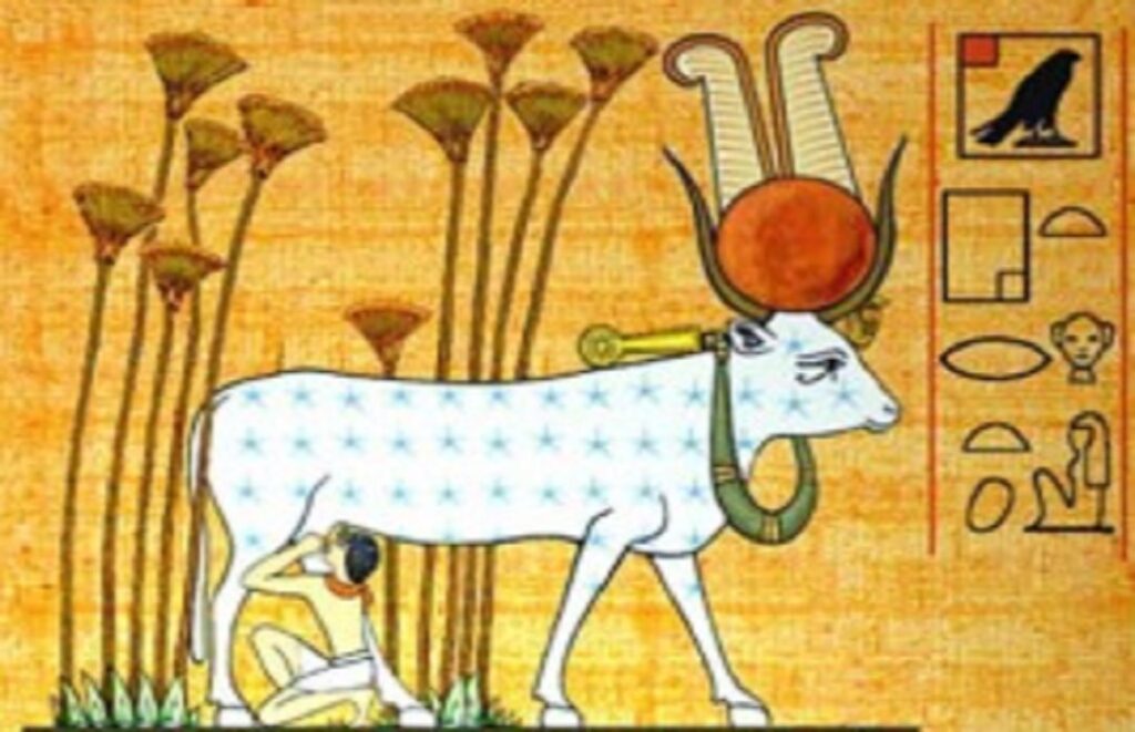 Lait Lactose Anthropologie Vache