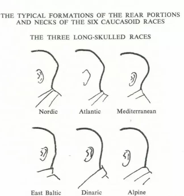 rhésus négatif origine sang neanderthal