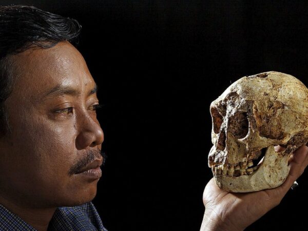 rhésus négatif origine sang neanderthal